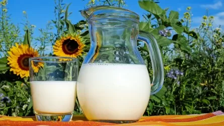 Кто кого обманывает? Названы объемы производства молока в Казахстане